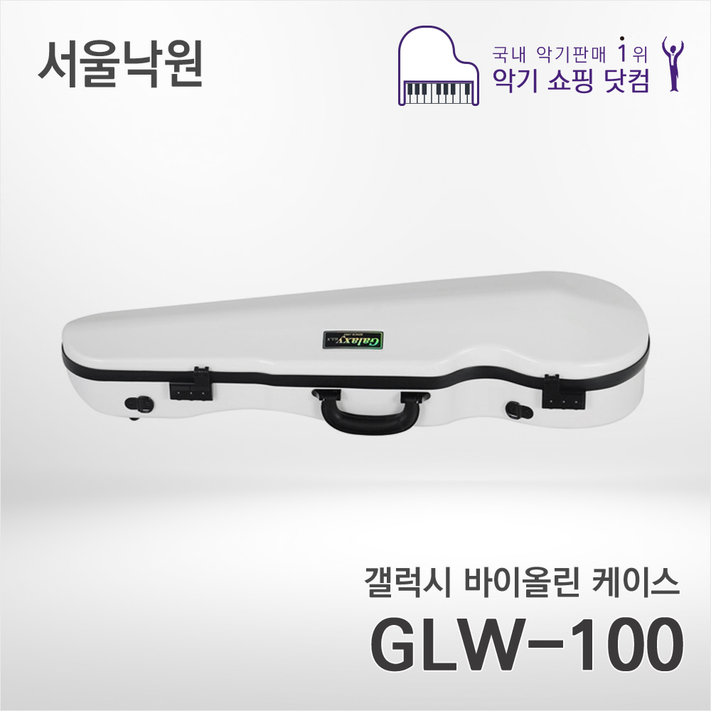갤럭시 카본 바이올린 삼각케이스GLW-100/서울낙원